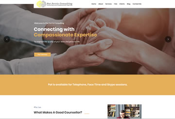 Pat Ferris Consulting
